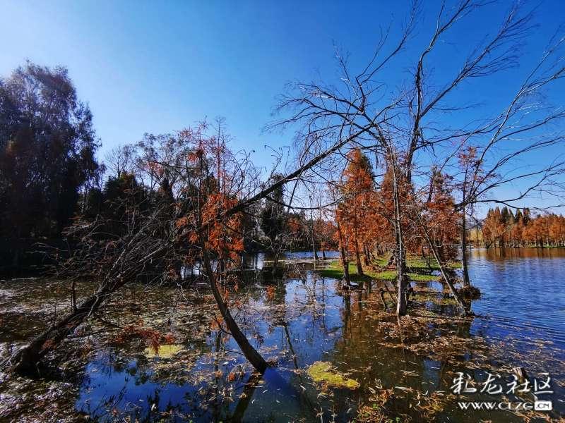 探索知识星球-双色球中1000万,多久才能把钱拿到手中?,解锁无限智慧力量!